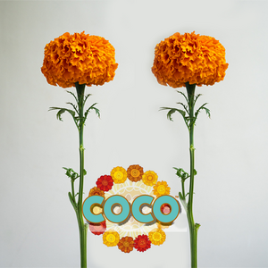 코코 메리골드 아프리칸 절화용 (꽃씨앗/10립)식용 꽃차 marigold coco, 코코 딥오렌지, 1개