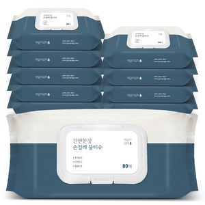 데일리워터 간편한장 손걸레 물티슈 캡형 80매, 200 x 170 ..., 10개