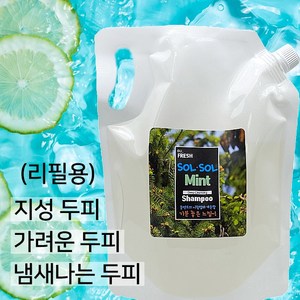 솔솔민트 딥클렌징 지성용 두피샴푸, 1000ml, 1개