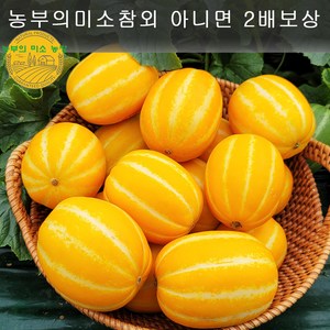 성주 당일수확한 고당도 참외, 1박스, 3kg(특품)