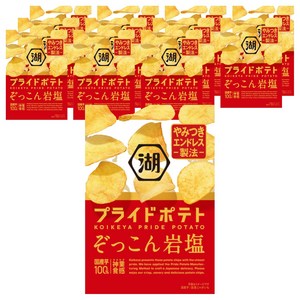 코이케야 프라이드 포테이토 듬뿍 바위소금 맛, 55g, 12개