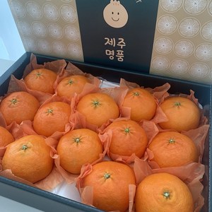 제주마실 프리미엄 제주 레드향 선물세트, 1박스, 레드향 선물용 5kg(19~25과)