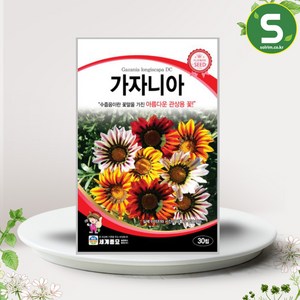 가자니아 씨앗 30립 관상용 혼색 꽃씨앗 종자, 1개