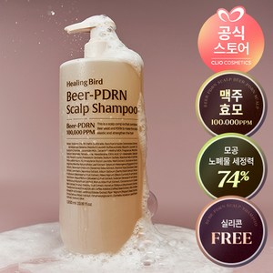 [탈모증상완화 기능성] 힐링버드 비어 PDRN 탈모 샴푸 대용량, 1개, 1L