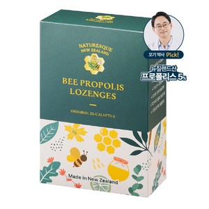 네이처레스큐 5% 초고함량 프로폴리스 캔디 유칼립투스 목캔디 뉴질랜드, 100g, 1개