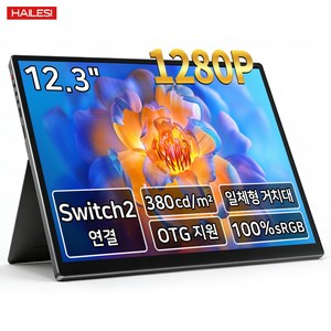 HAILESI S123 1.9K/2.4K 12.3인치 터치식 휴대용 모니터
