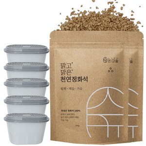 온다숲 반영구 천연 제습제 정화석 500g2개+용기5개, 500g