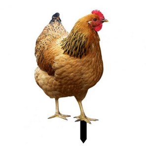 위대한 양면 인쇄 현실적인 마당 예술 조각 수탉 장식 정원, j, [02] J