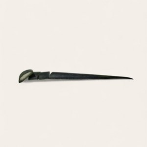 알로에줄기(약30cm), 1개