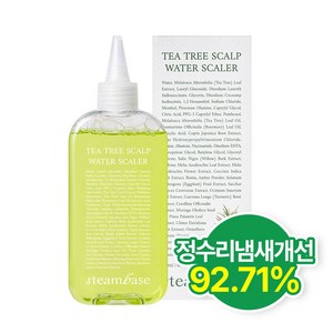 STEAMBASE 티트리 스칼프 워터 스케일러 250ml, 250ml, 1개