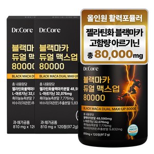 닥터코어 블랙마카 아르기닌 듀얼 맥스업 80000, 120정, 2개