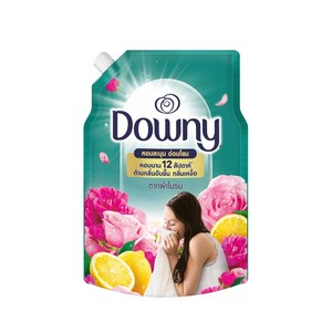 다우니 섬유유연제 실내건조(인도어드라이) 베트남 수입 정품 대용량 향 오래가는 고농축 프리미엄, 1L, 1개