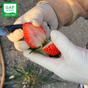 포항 설향딸기 왕특 특상 스마트팜 위생최상 1kg 2kg 3kg, 설향딸기(특상) 2박스 3kg 84-100구