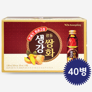 광동제약 광동 생강쌍화, 120ml, 40개