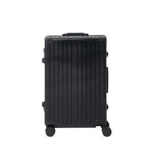 코르딕스 트레브 대형 폴리카보네이트 캐리어 유럽여행