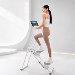 브리핏 가정용 천국의계단 운동기구