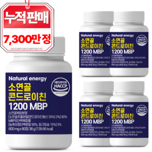 웰핏 소연골 콘드로이친 1200 MBP, 60정, 5개