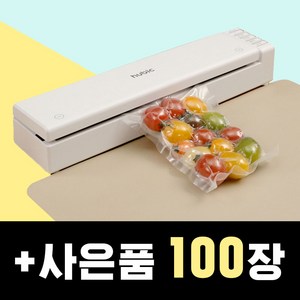 휴비크 유무선 진공포장기 가정용 무선 업소용 진공기, 휴비크 SW