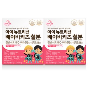 데이라이프 아이 뉴트리션 베이비키즈 철분 X 1박스, 66g, 2개