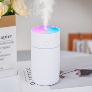 paramicia 무선 차량용 탁상용 미니 가습기, 화이트