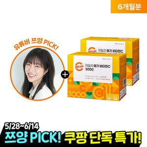 광동 비타500 데일리 메가 비타민C 3000 고함량 비타민c, 270g, 2개