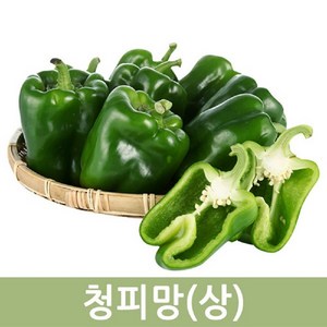 국내산 청피망(상) 10kg 5kg 2kg 싱싱한 피망 사이즈다양 두리반농산, 1개