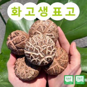 화고버섯 국내산 표고버섯 무농약 GAP인증 산지직송, 1박스, 1kg