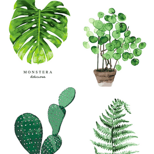 아이러브페인팅 DIY 명화그리기 보태니컬 아트 캔버스 16종, 14 보태니컬 핑거 캑터스_페인팅