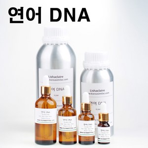 연어 DNA PDRN 원액, 1개, 100ml