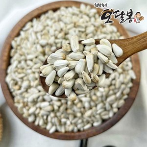 힘찬농부 수입 홍화씨, 1개, 8kg