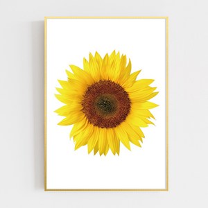 아워프레임 해바라기 액자 풍수 재물운 개업 집들이 선물 [SunflowerA]
