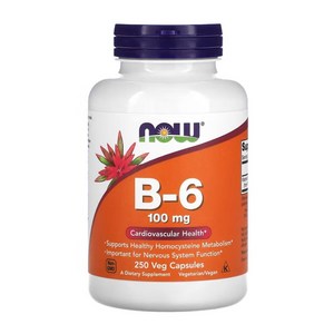 나우푸드 B-6 100mg 캡슐