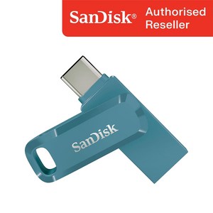 샌디스크 USB 메모리 DDC3 블루 C타입 OTG 3.2 대용량, 256GB