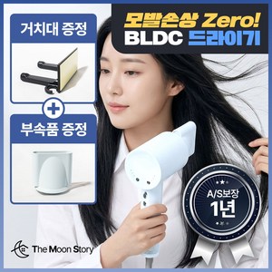 더문 헤어 드라이기 항공모터 음이온 여행용 전문가용 BLDC 미용실드라이어