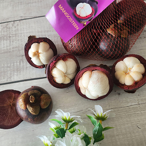 프루틴 생 망고스틴 태국 항공수입 로얄과, 1kg (로얄과 8~16과), 1개