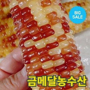 금메달농수산 쫀득쫀득 급냉 홍찰 옥수수, 1개, 특대 20입