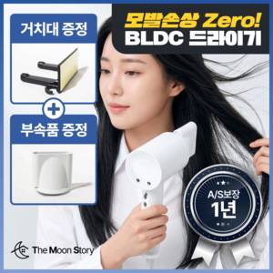 더문 헤어 드라이기 항공모터 음이온 여행용 전문가용 BLDC 미용실드라이어