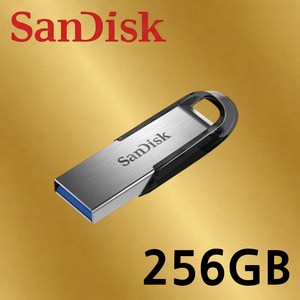 샌디스크 Ultra Flair CZ73 Z73 3.0 USB