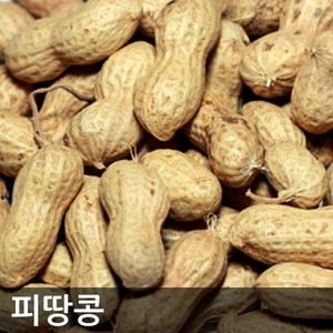 2024년 햇 볶음피땅콩 1kg 껍질채볶은 피땅콩, 5개