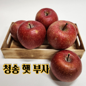 [산지직송 당도선별] 햇사과 청송 꿀 사과 2kg 3kg 5kg [가정용 정품 혼합], 1박스, 7. 혼합 2kg (소,중,대과)