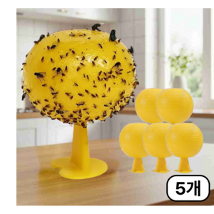 DY 초파리트랩 날파리끈끈이 나방 파리 초파리없애는법, 5개, 1