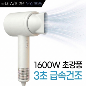 글라우벤 BLDC 저소음 1600W 항공모터 헤어 드라이기