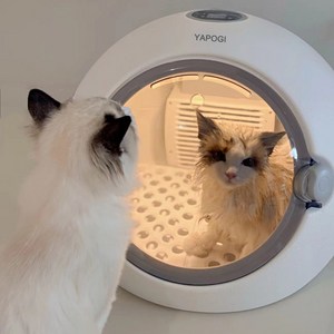 업그레이드 강아지 고양이 애견 드라이룸 펫드라이룸 강아지건조기, 화이트