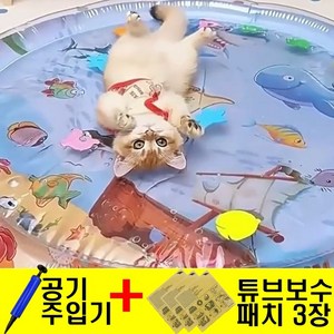 라이프디 강아지 고양이 물침대 물매트 사계절용 쿨매트 장난감 + 공기주입기 + 보수패치, 1개