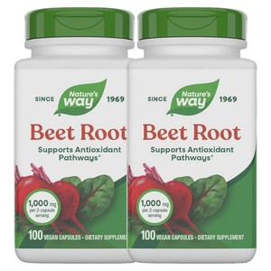 네이쳐스웨이 비트 루트 500mg 베지테리안 캡슐, 100정, 2개