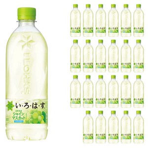 일본음료 이로하스 샤인머스캣 540ml 24개입, 540ml, 24개