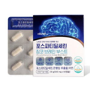 포스파티딜세린 효능 갱년기 두뇌 기억력 영양제 브레인 부스트 1000mg, 60정, 3개