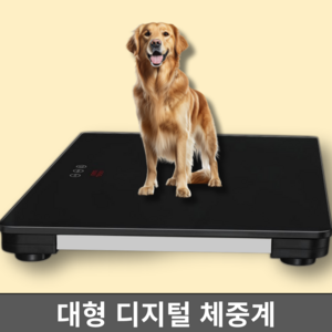 윌비독 100KG 강화유리 강아지 체중계 대형 디지털 몸무게 측정기 고정밀 반려견 강화유리, 광택블랙(80x50cm)