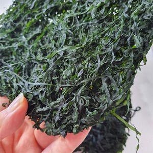 해미담 채다시마 100g(50g*2개입) 청정해역 완도 햇다시마 완도특산품, 100g, 1개