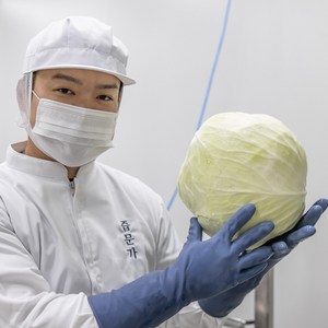 [영상공개]즙문가 청년농부 100% 양배추즙(국산 양배추), 30개, 100ml